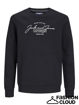 jjferris sweat crew neck mini.